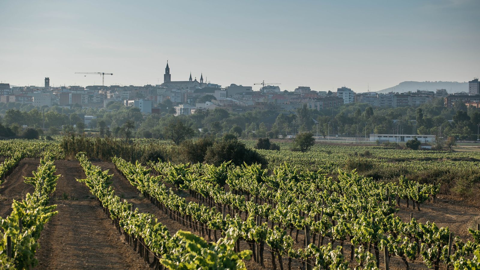 Vilafranca del Penedès