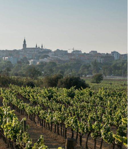 Escapada Penedès