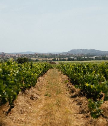 Escapada Ruta del Vi 