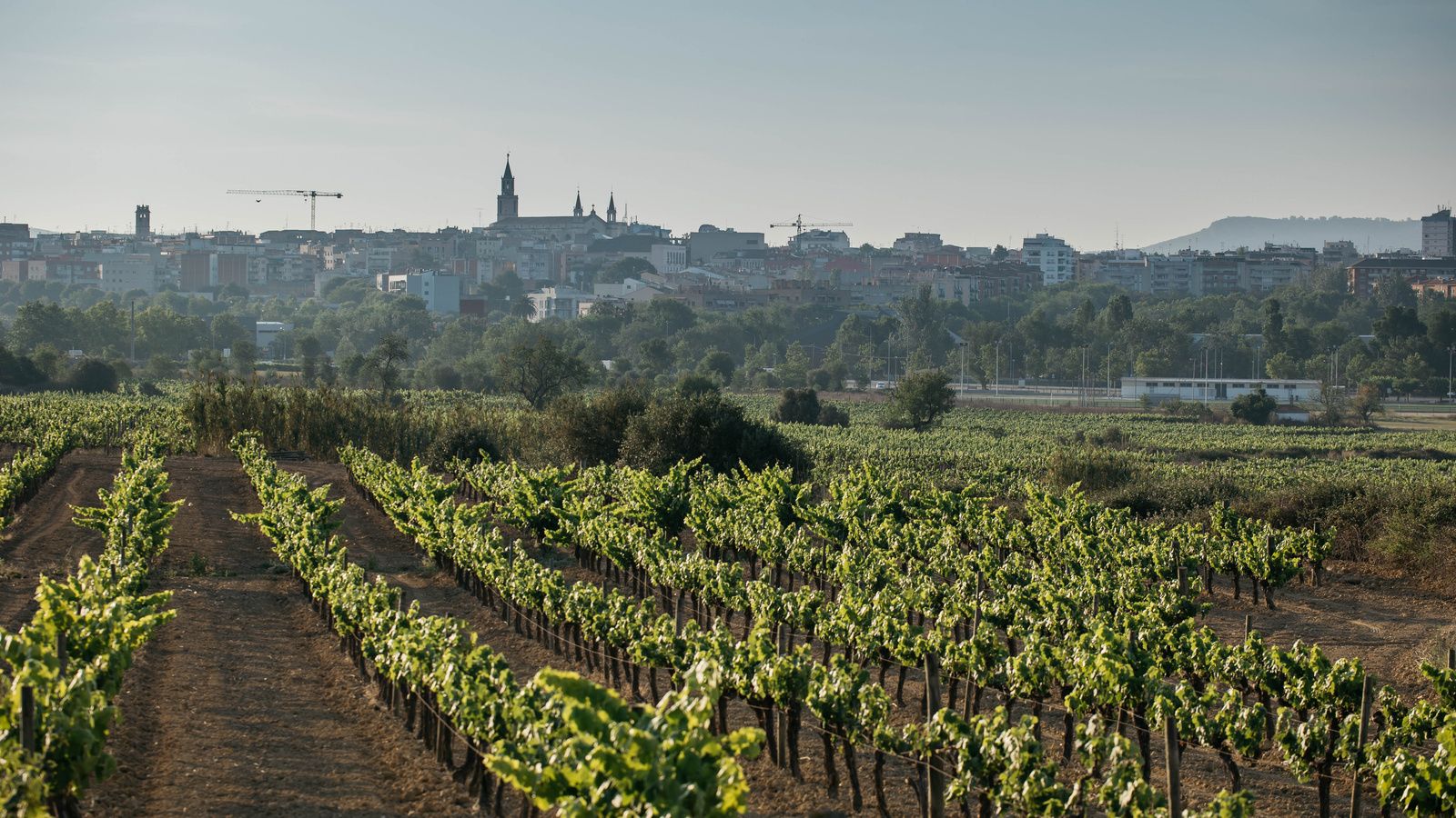 Penedès Getaway