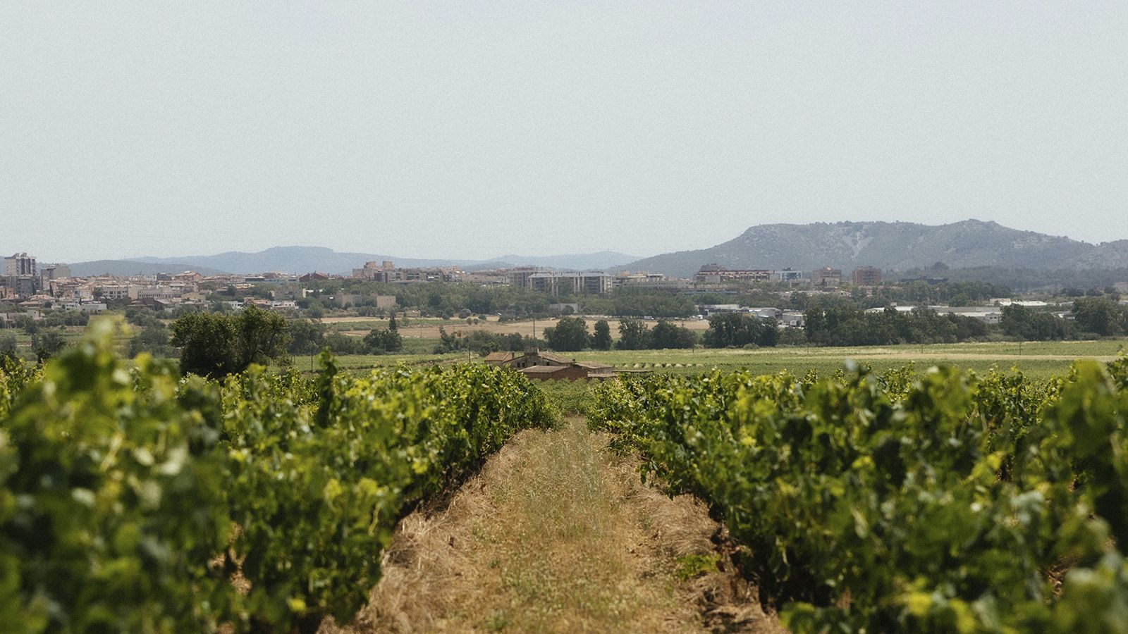 Vilafranca del Penedès