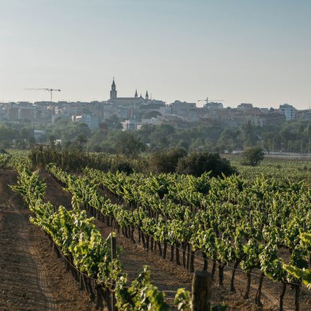 Vilafranca del Penedès