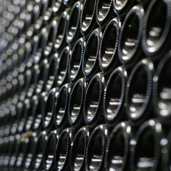 Penedès wine cellar 